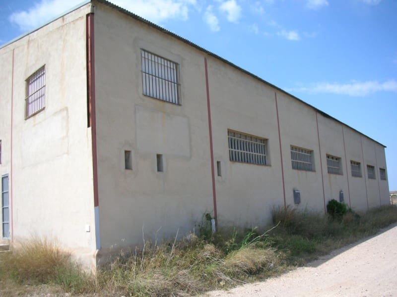 Azienda in vendita in La Senia - 189.000 € (Rif: 6186944)