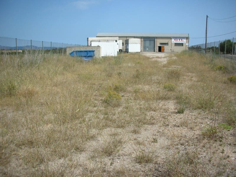 Azienda in vendita in La Senia - 189.000 € (Rif: 6186944)