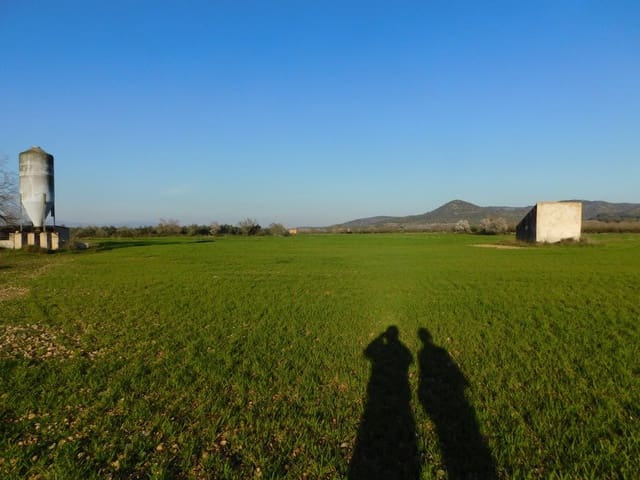 1 bedroom Finca/Country House for sale in Godall - € 267,000 (Ref: 6186982)