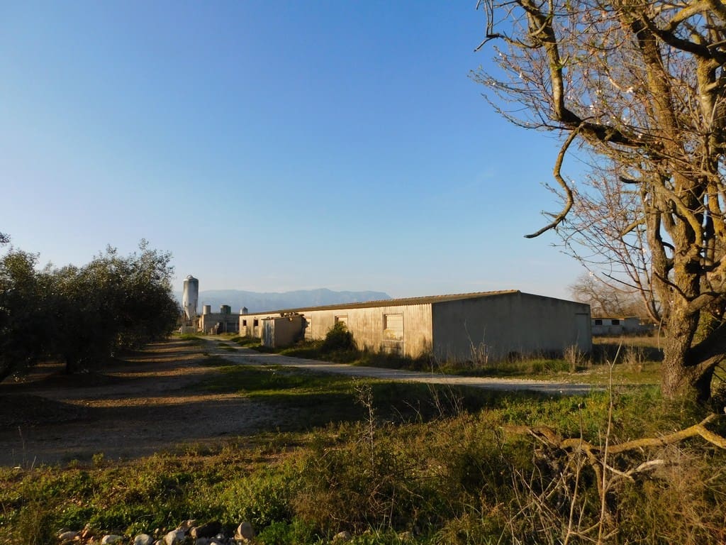 1 soveværelse Finca/Landehus til salg i Godall - € 267.000 (Ref: 6186982)