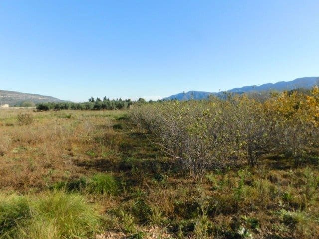 Finca/Herregård til salgs i Ulldecona - € 107 000 (Ref: 6782603)