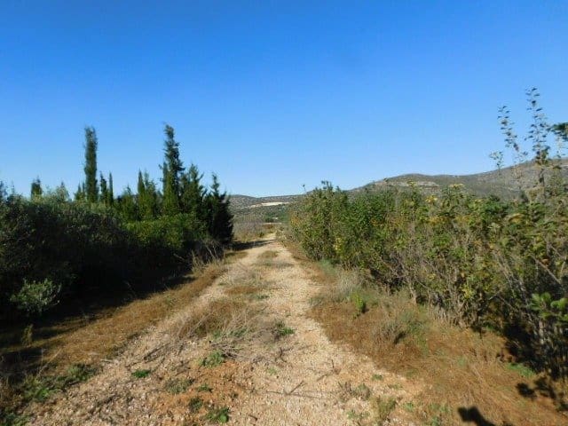 Finca/Herregård til salgs i Ulldecona - € 107 000 (Ref: 6782603)