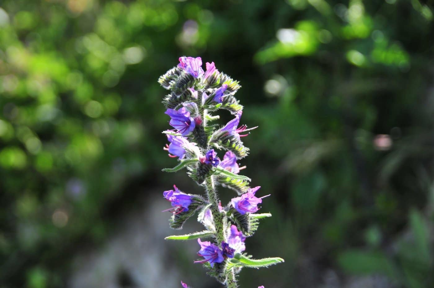 3 bedroom Finca/Country House for sale in La Pobla de Benifassa - € 159,000 (Ref: 6916874)