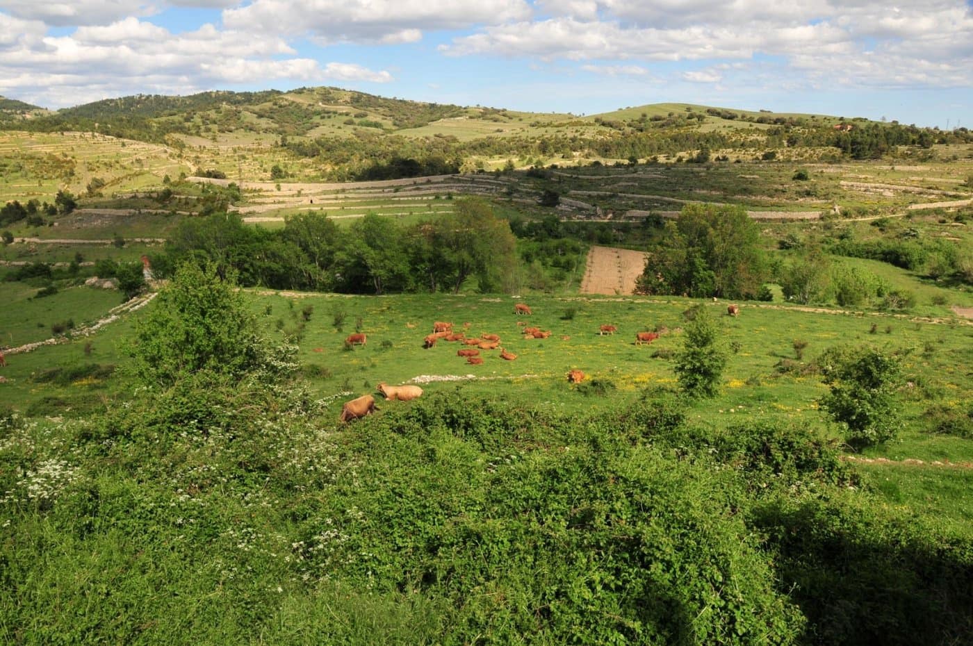 3 bedroom Finca/Country House for sale in La Pobla de Benifassa - € 159,000 (Ref: 6916874)