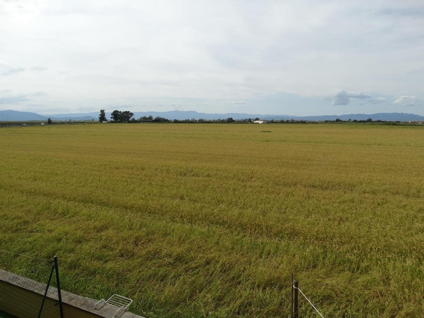 2 soverom Leilighet til salgs i Amposta - € 110 000 (Ref: 9272769)