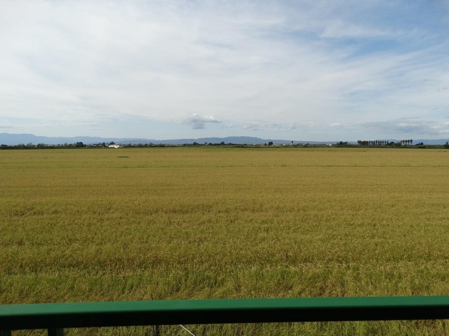 2 soverom Leilighet til salgs i Amposta - € 110 000 (Ref: 9272769)