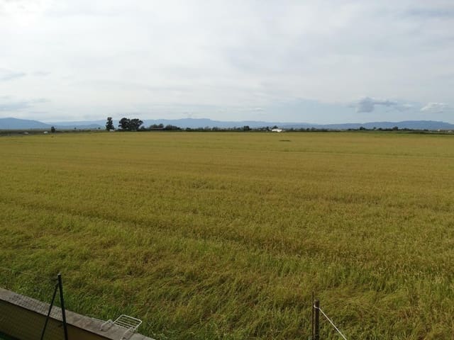 2 soverom Leilighet til salgs i Amposta - € 110 000 (Ref: 9272769)