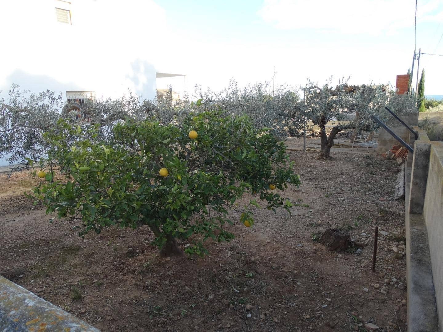 4 soverom Kjedet enebolig til salgs i Alcanar med svømmebasseng garasje - € 189 000 (Ref: 9431161)