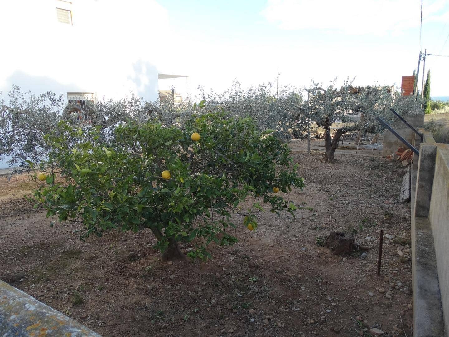 4 chambre Villa/Maison Semi-Mitoyenne à vendre à Alcanar avec piscine garage - 189 000 € (Ref: 9431161)