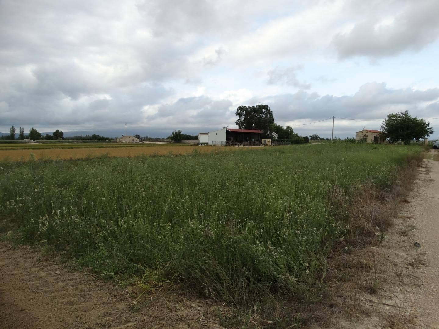 Finca/Country House for sale in Amposta - € 74,000 (Ref: 9441418)