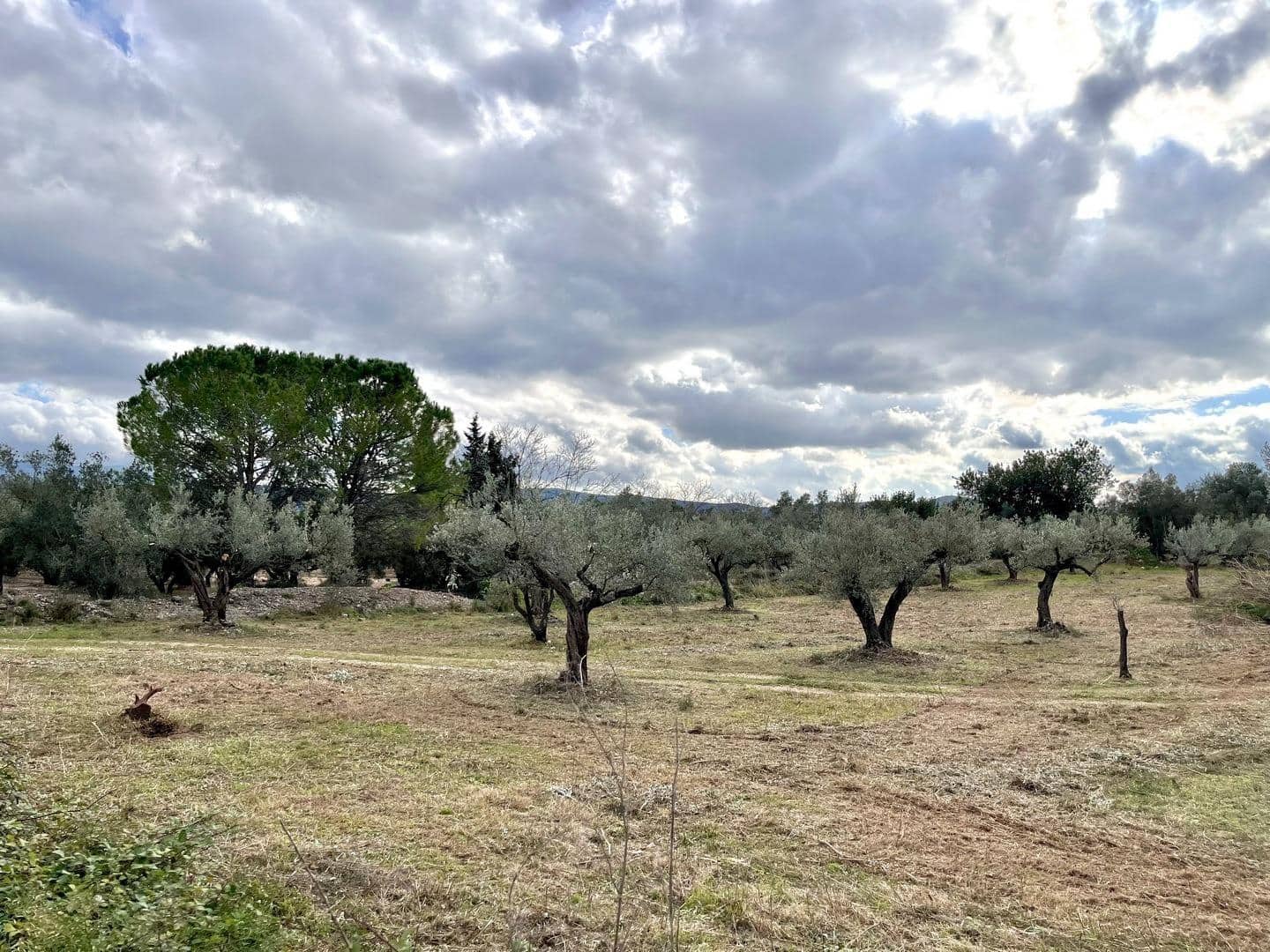 2 bedroom Finca/Country House for sale in Godall with garage - € 230,000 (Ref: 9712131)