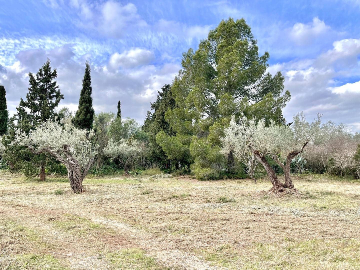 2 bedroom Finca/Country House for sale in Godall with garage - € 230,000 (Ref: 9712131)