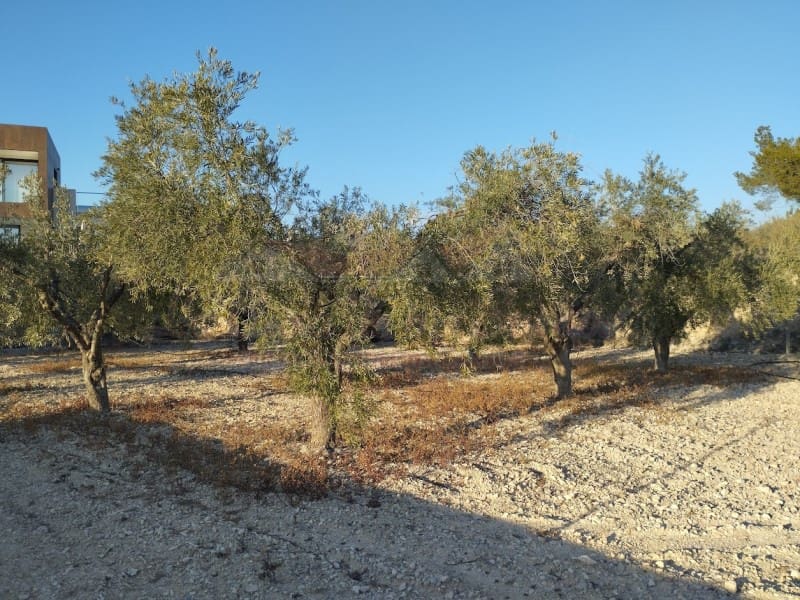 4 bedroom Villa for sale in Petrel / Petrer with garage - € 312,000 (Ref: 8826024)