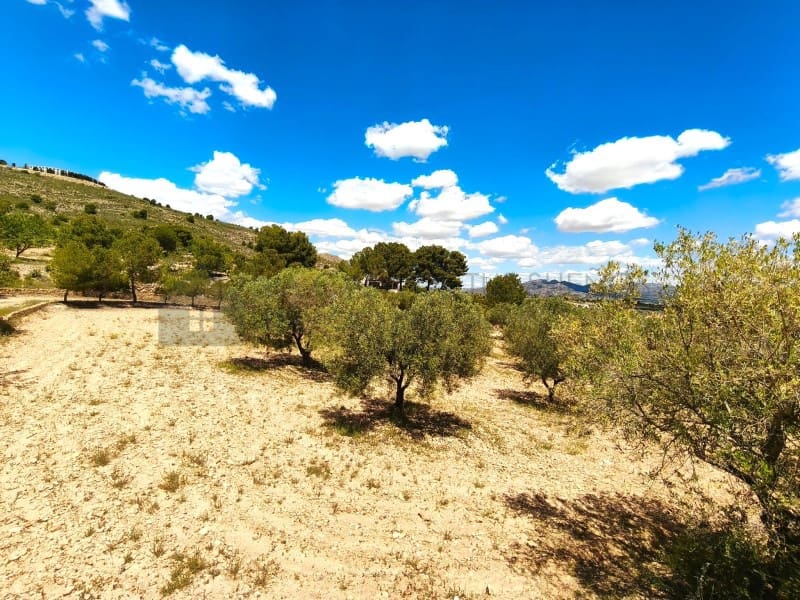 3 soveværelse Finca/Landehus til salg i Sax - € 213.000 (Ref: 9847443)