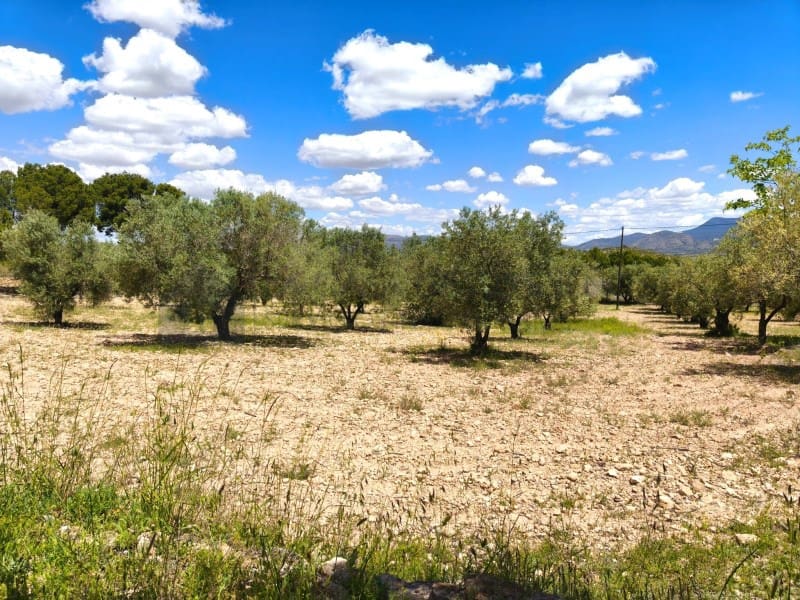 3 soveværelse Finca/Landehus til salg i Sax - € 213.000 (Ref: 9847443)