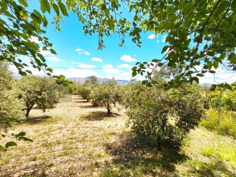3 soveværelse Finca/Landehus til salg i Sax - € 213.000 (Ref: 9847443)