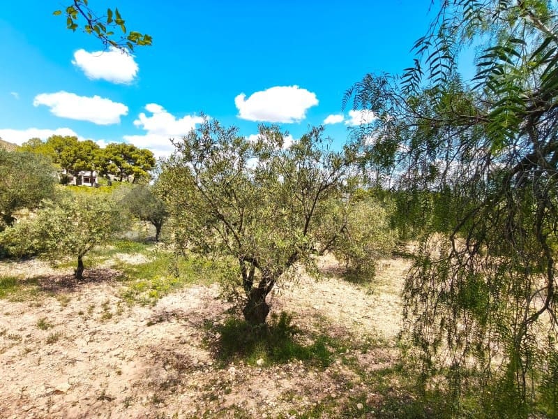 3 soveværelse Finca/Landehus til salg i Sax - € 213.000 (Ref: 9847443)