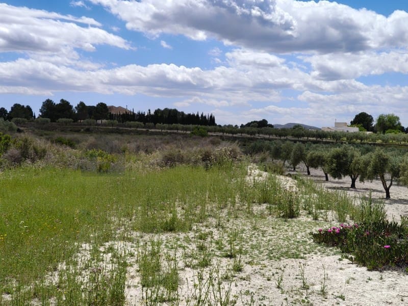 3 quarto Quinta/Casa Rural para venda em Sax - 110 000 € (Ref: 9847444)