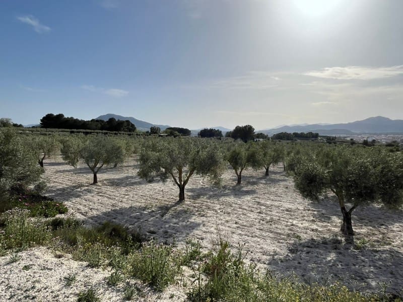 3 quarto Quinta/Casa Rural para venda em Sax - 110 000 € (Ref: 9847444)