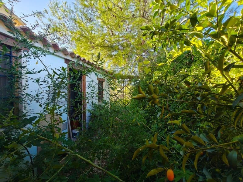 3 soverom Finca/Herregård til salgs i Pinoso - € 129 000 (Ref: 9847475)