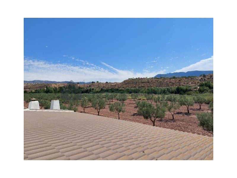 4 soveværelse Finca/Landehus til salg i Sax - € 325.000 (Ref: 9847476)