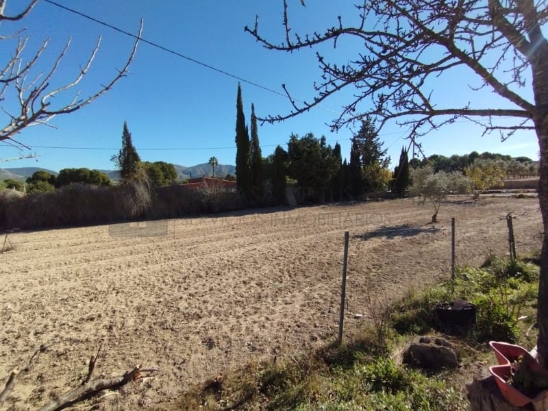 4 soveværelse Finca/Landehus til salg i Sax - € 185.000 (Ref: 9847483)