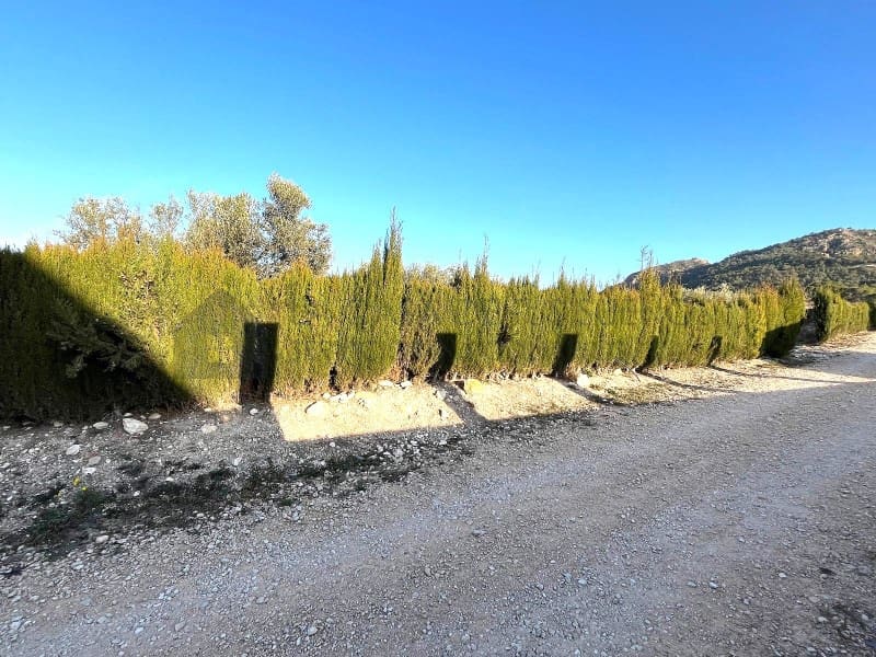5 bedroom Finca/Country House for sale in Salinas - € 157,000 (Ref: 9847485)