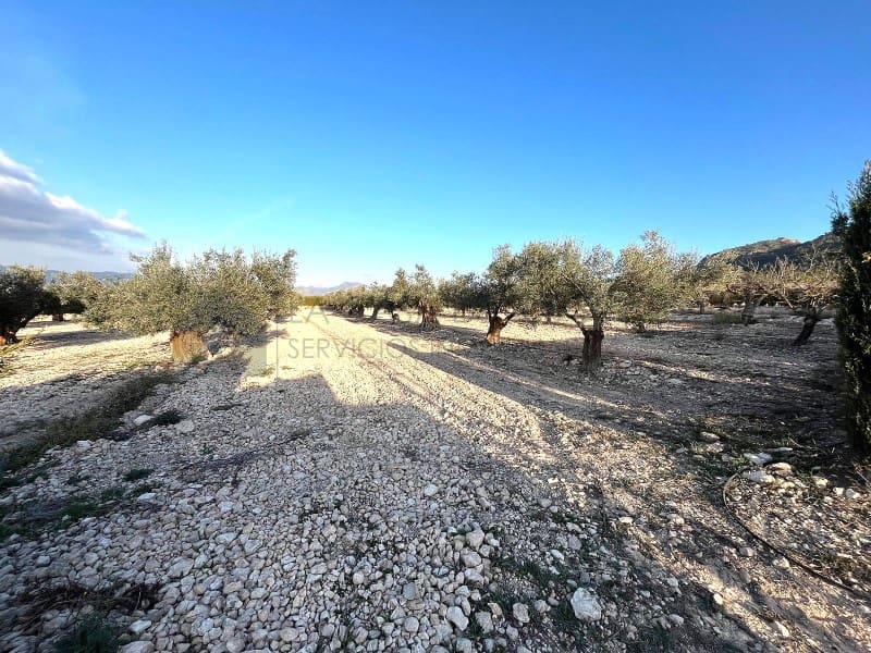 5 bedroom Finca/Country House for sale in Salinas - € 157,000 (Ref: 9847485)