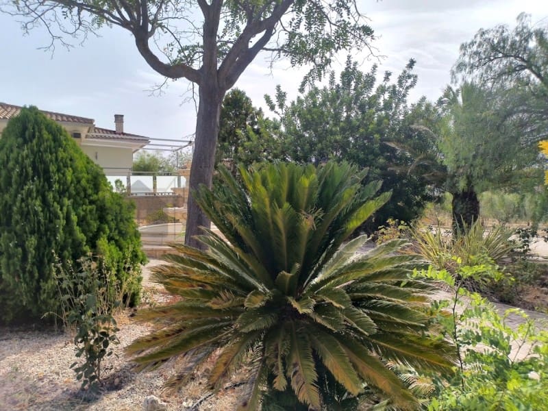 4 camera da letto Villa da affittare in Sax con piscina garage - 1.800 € (Rif: 9984543)