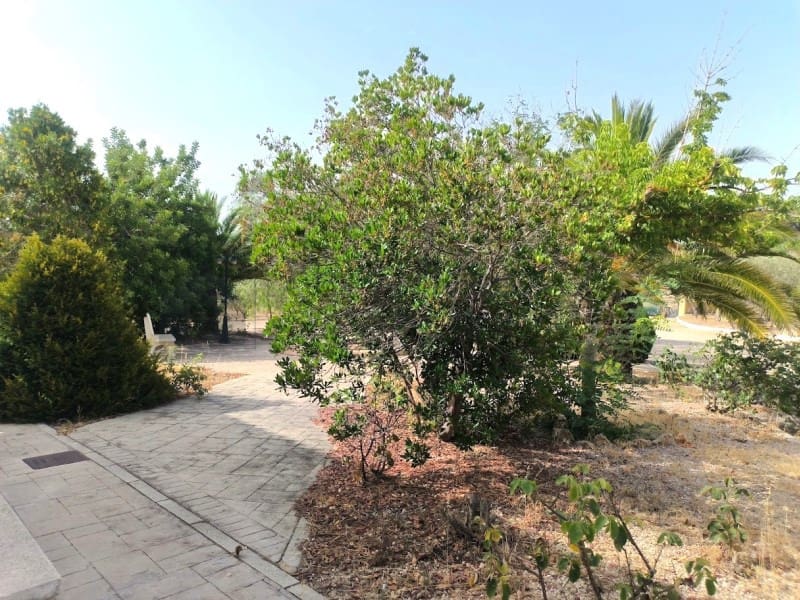 4 camera da letto Villa da affittare in Sax con piscina garage - 1.800 € (Rif: 9984543)