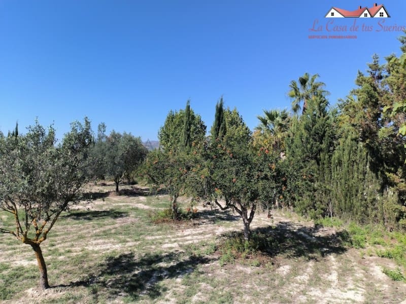 6 camera da letto Villa in vendita in Sax con piscina garage - 350.000 € (Rif: 9996771)