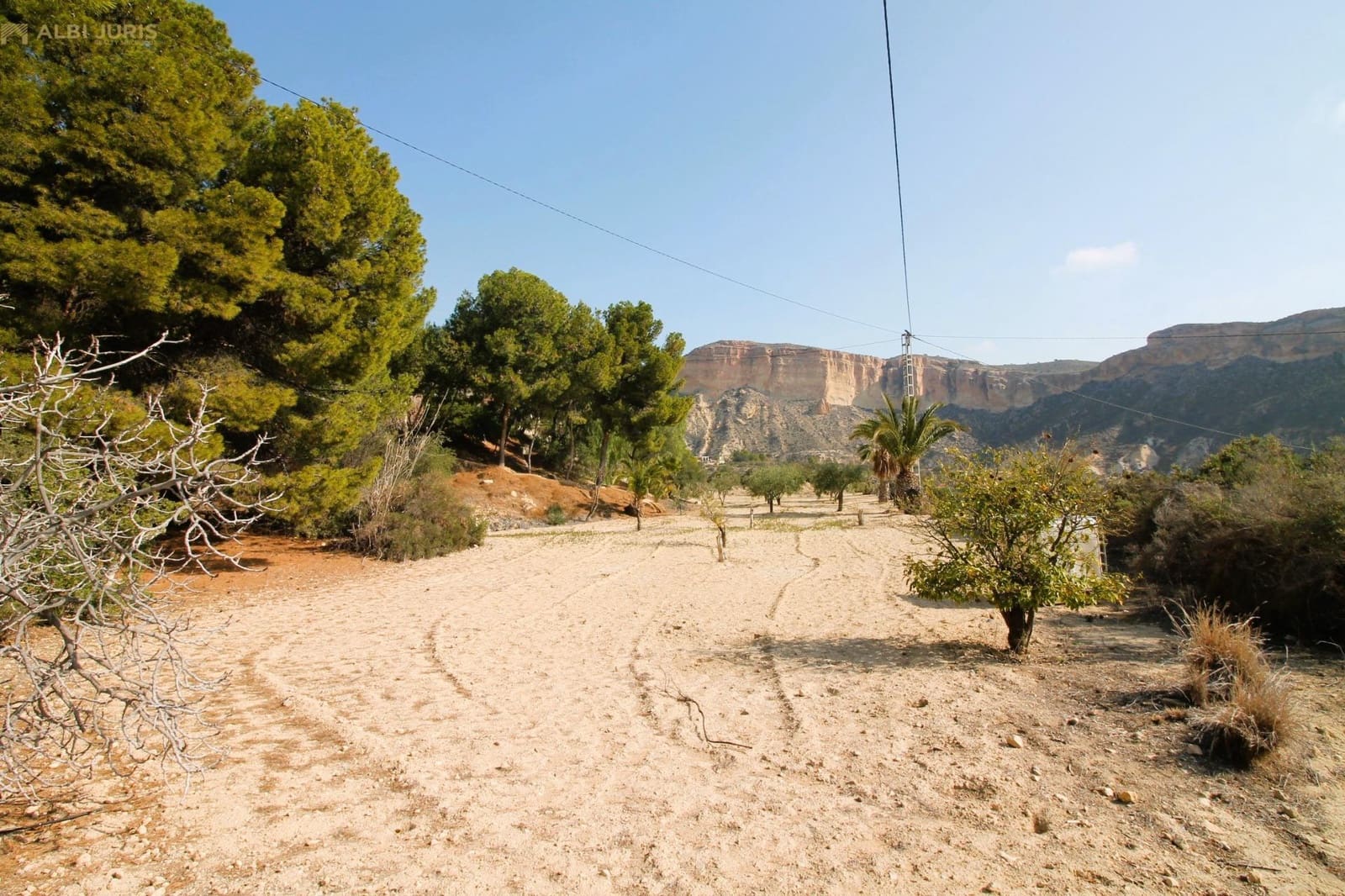 3 camera da letto Finca/Casa di Campagna in vendita in Crevillente / Crevillent con piscina - 239.000 € (Rif: 8834734)