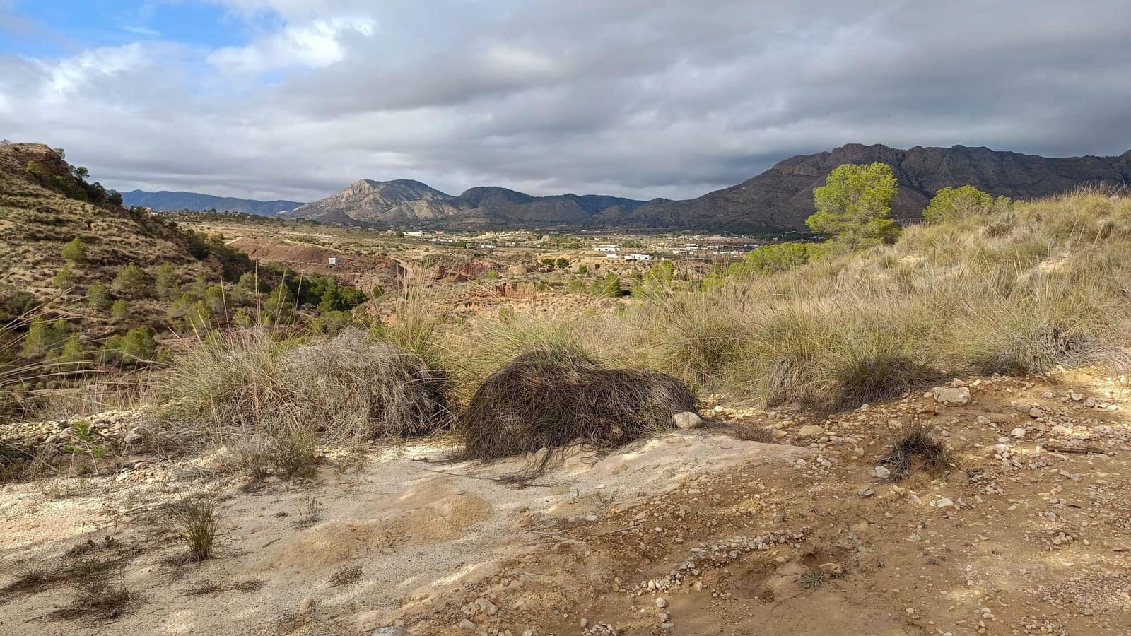 Finca/Casa Rural de 2 habitaciones en Murcia ciudad en venta - 60.000 € (Ref: 9901371)
