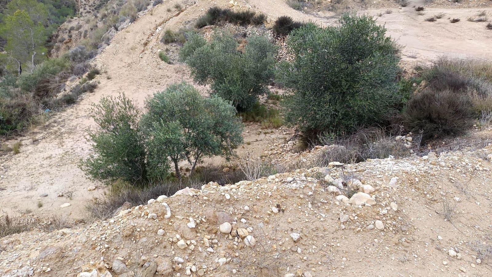 Finca/Casa Rural de 2 habitaciones en Murcia ciudad en venta - 60.000 € (Ref: 9901371)