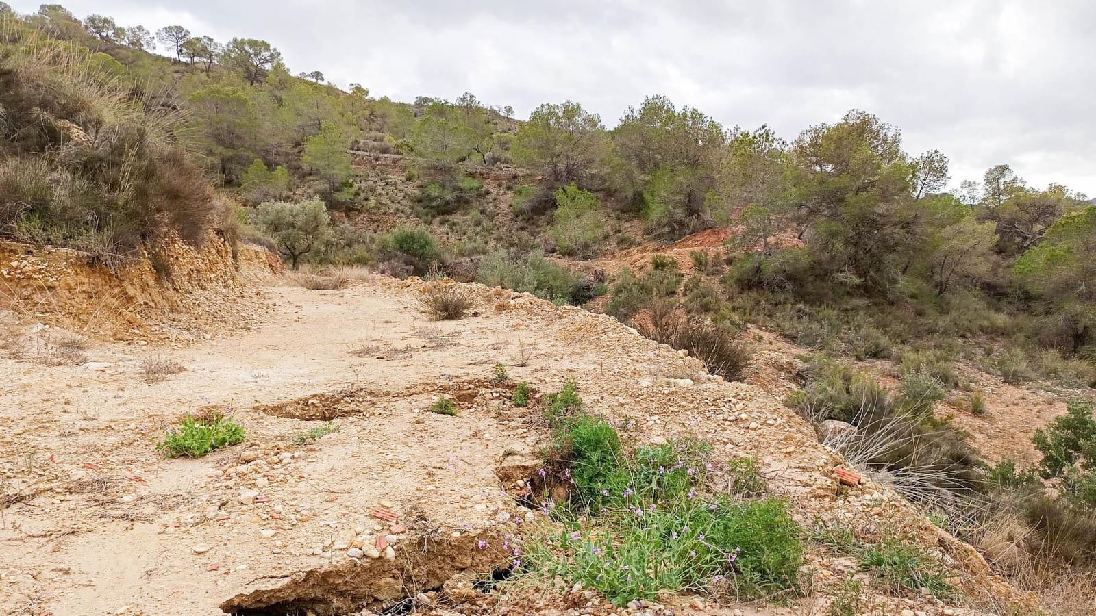 Finca/Casa Rural de 2 habitaciones en Murcia ciudad en venta - 60.000 € (Ref: 9901371)