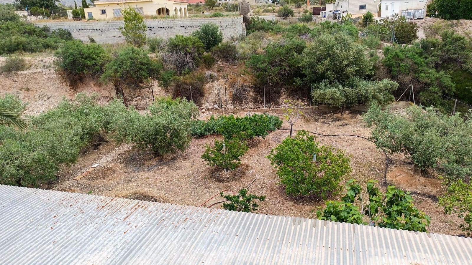 3 bedroom Finca/Country House for sale in Albatera with pool - € 259,000 (Ref: 9901382)