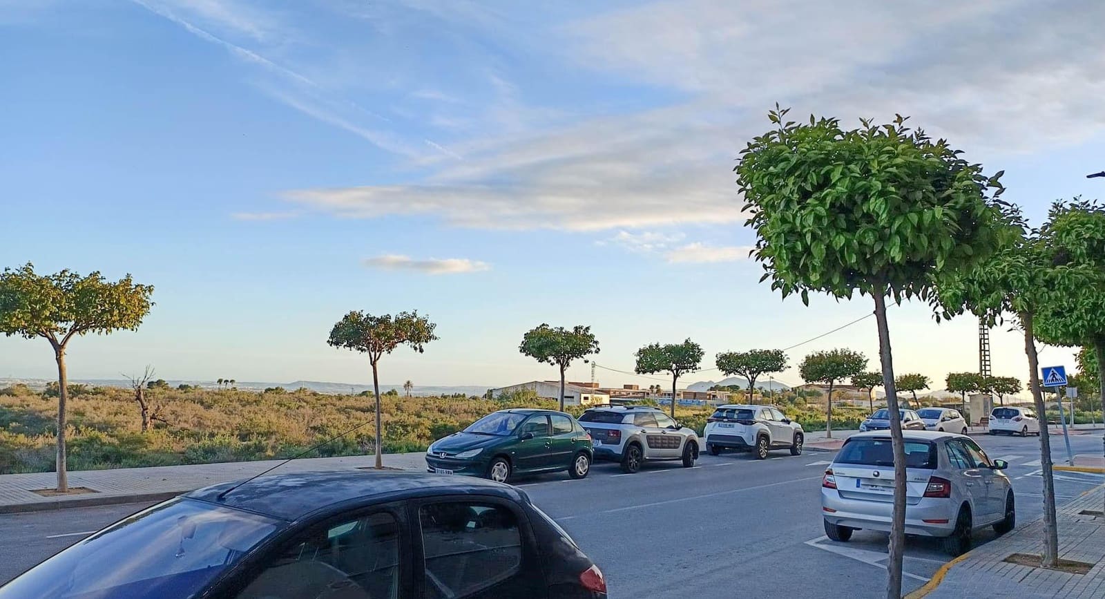 Commercial for sale in Crevillente / Crevillent - € 127,000 (Ref: 9901384)