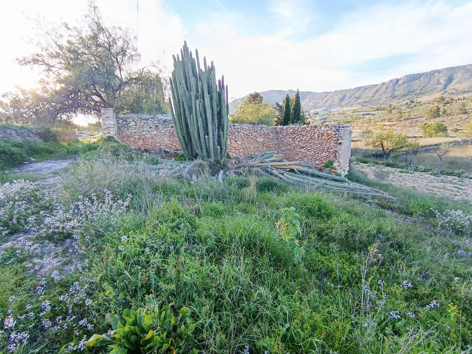 2 chambre Finca/Maison de Campagne à vendre à La Romana - 140 000 € (Ref: 9901386)