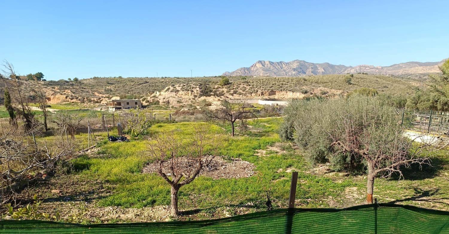 7 bedroom Finca/Country House for sale in Crevillente / Crevillent with pool - € 485,000 (Ref: 9901387)