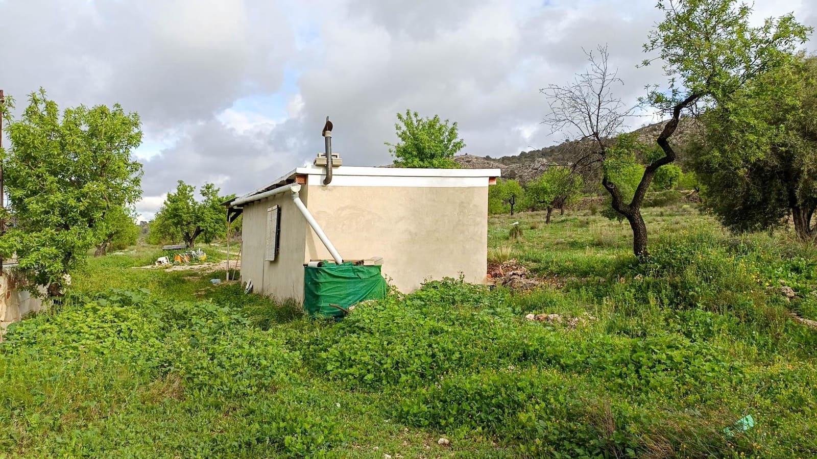 1 bedroom Finca/Country House for sale in Hondon de las Nieves - € 100,000 (Ref: 9901388)