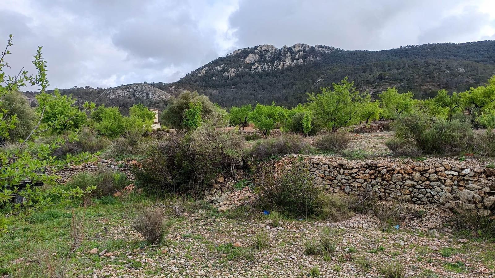 1 bedroom Finca/Country House for sale in Hondon de las Nieves - € 100,000 (Ref: 9901388)