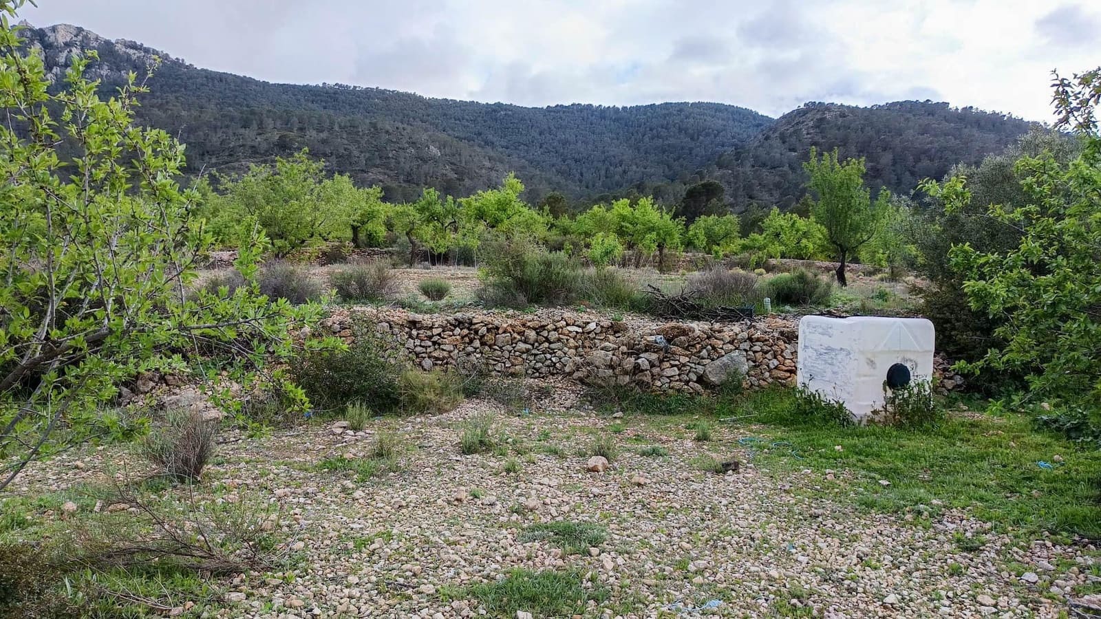 1 bedroom Finca/Country House for sale in Hondon de las Nieves - € 100,000 (Ref: 9901388)