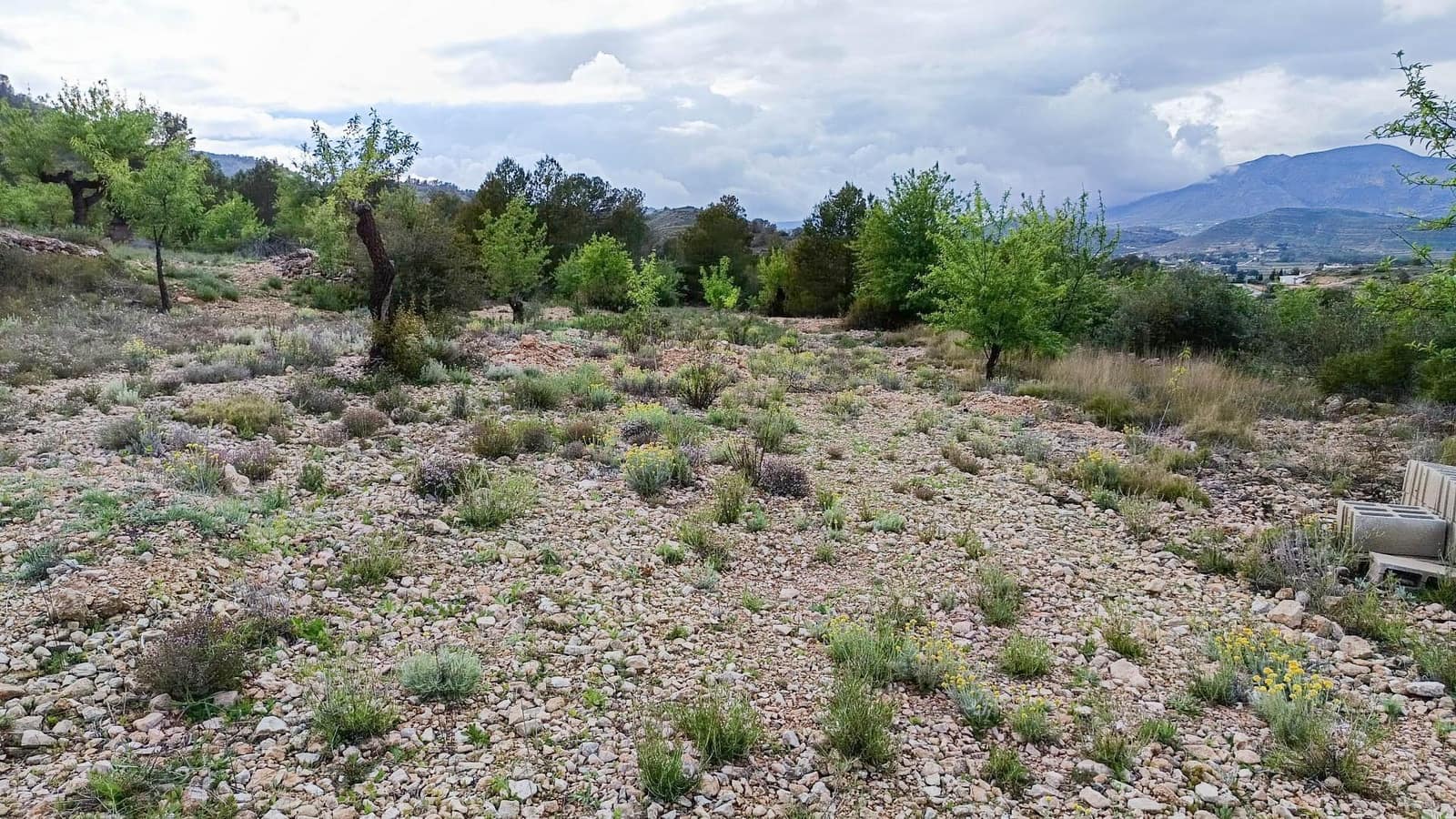 1 bedroom Finca/Country House for sale in Hondon de las Nieves - € 100,000 (Ref: 9901388)