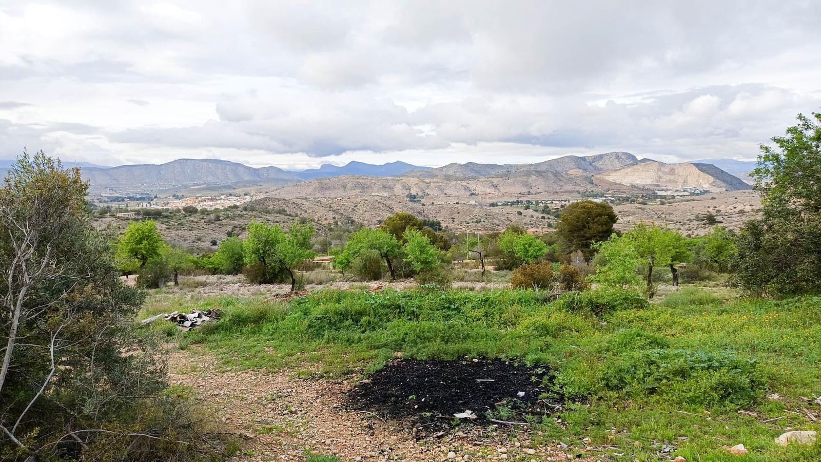 1 bedroom Finca/Country House for sale in Hondon de las Nieves - € 100,000 (Ref: 9901388)