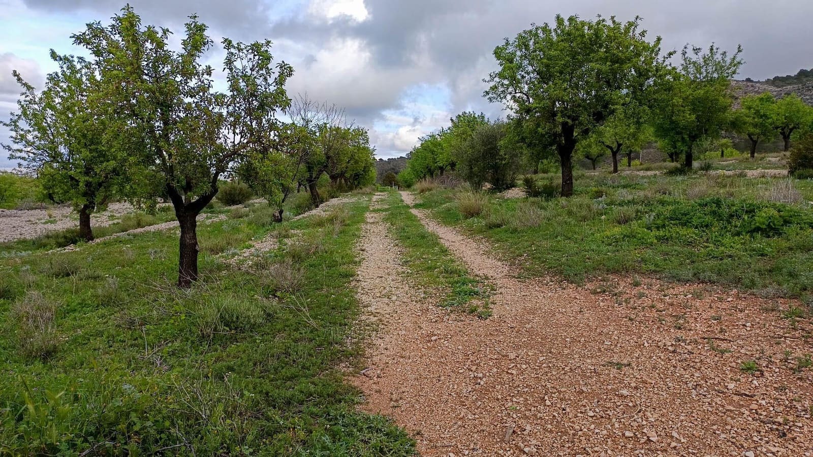 1 bedroom Finca/Country House for sale in Hondon de las Nieves - € 100,000 (Ref: 9901388)