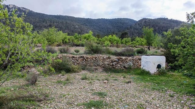 1 bedroom Finca/Country House for sale in Hondón de las Nieves - € 100,000 (Ref: 9901388)