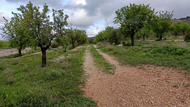 1 bedroom Finca/Country House for sale in Hondón de las Nieves - € 100,000 (Ref: 9901388)