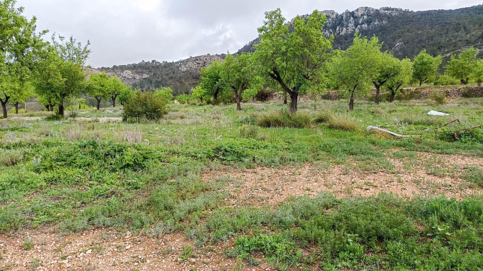 1 bedroom Finca/Country House for sale in Hondon de las Nieves - € 100,000 (Ref: 9901388)