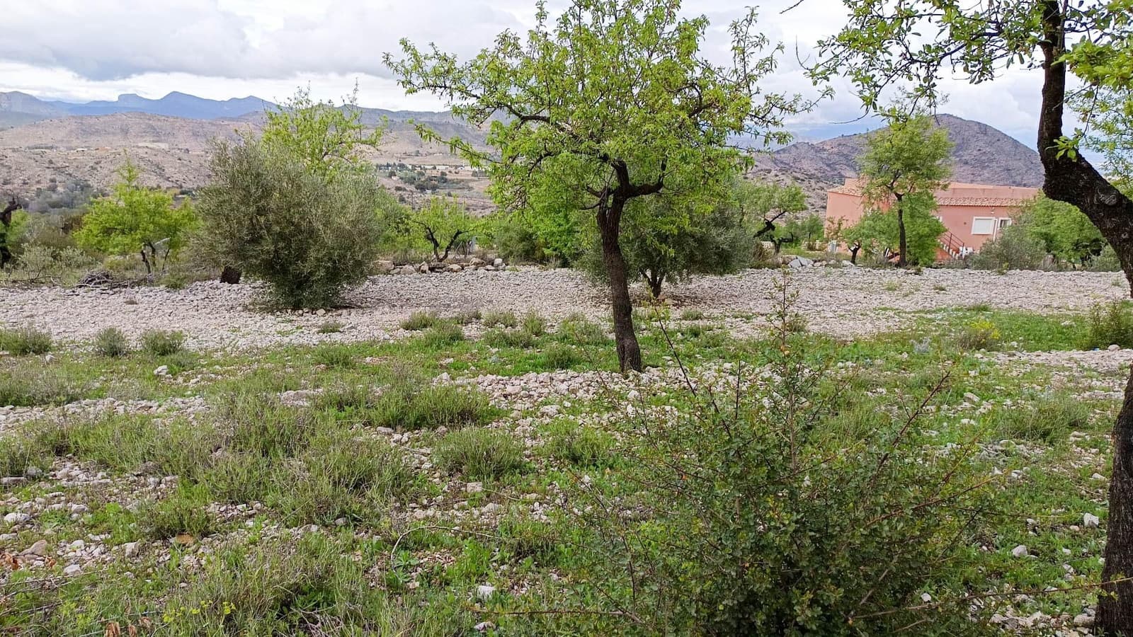 1 bedroom Finca/Country House for sale in Hondon de las Nieves - € 100,000 (Ref: 9901388)