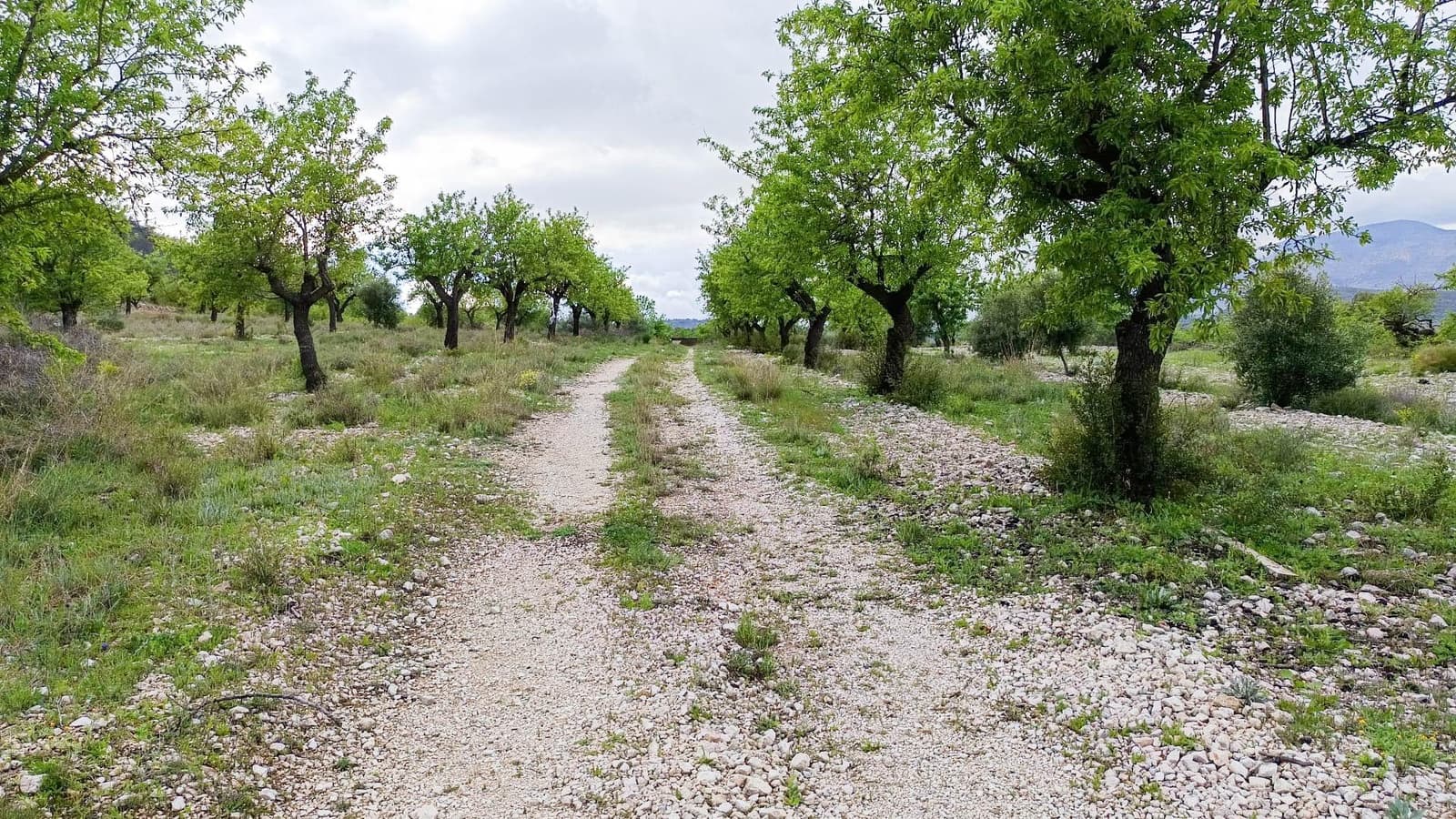 1 bedroom Finca/Country House for sale in Hondon de las Nieves - € 100,000 (Ref: 9901388)
